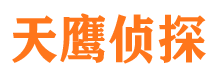 宁都市调查公司